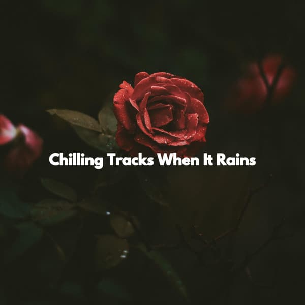 Chilling Tracks When It Rains - Happy Music for Retail Stores