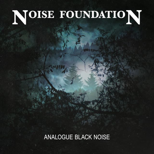 Analogue Black Noise - Noise Foundation