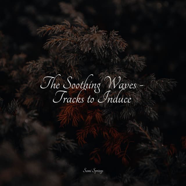 The Soothing Waves - Tracks to Induce - The Rain Library