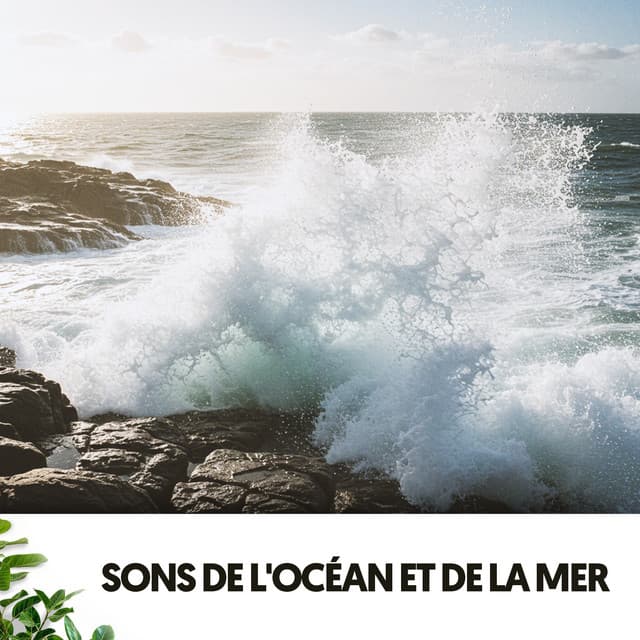 Sons de l'Océan et de la Mer: Harmonie et Force - Dog Relaxation
