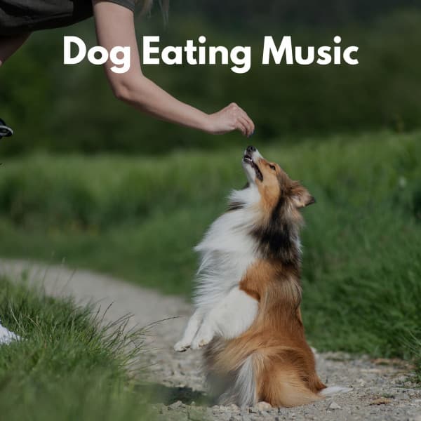 Dog Eating Music - Cooking Jazz
