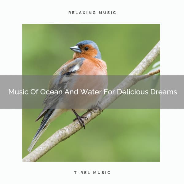 Music Of Ocean And Water For Delicious Dreams - Aquagirl