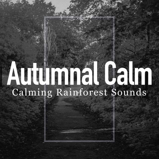 Autumnal Calm - Calming Rainforest Sounds