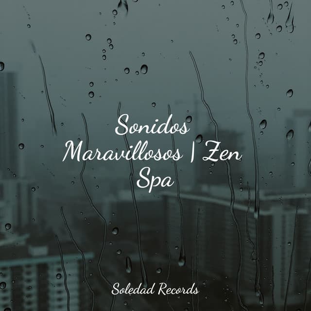 Sonidos Maravillosos | Zen Spa - Sueño Lucido