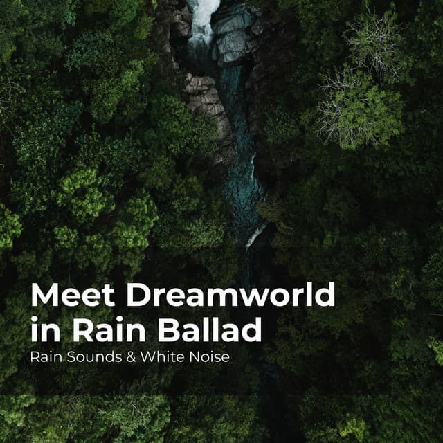 Meet Dreamworld in Rain Ballad - Rain Sounds & White Noise