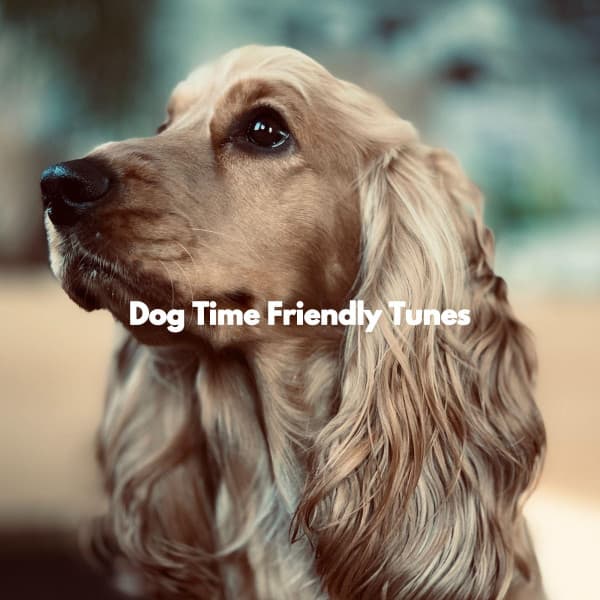 Dog Time Friendly Tunes - Classy Relaxing Dog Music