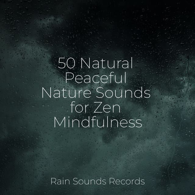 50 Natural Peaceful Nature Sounds for Zen Mindfulness - Spa & Spa