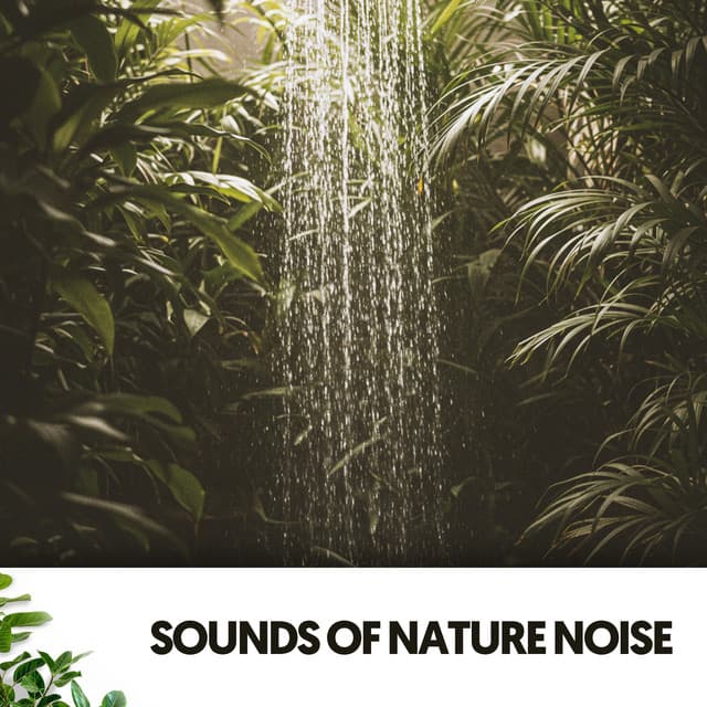 Sounds of Nature Noise: Symphony of Raindrops - Cat Music Therapy