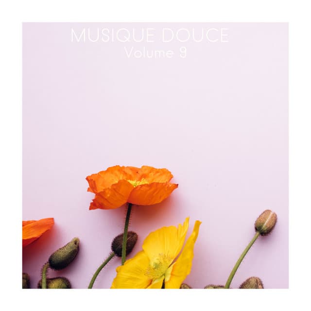 Musique douce, Vol. 9 - Musique Zen Garden