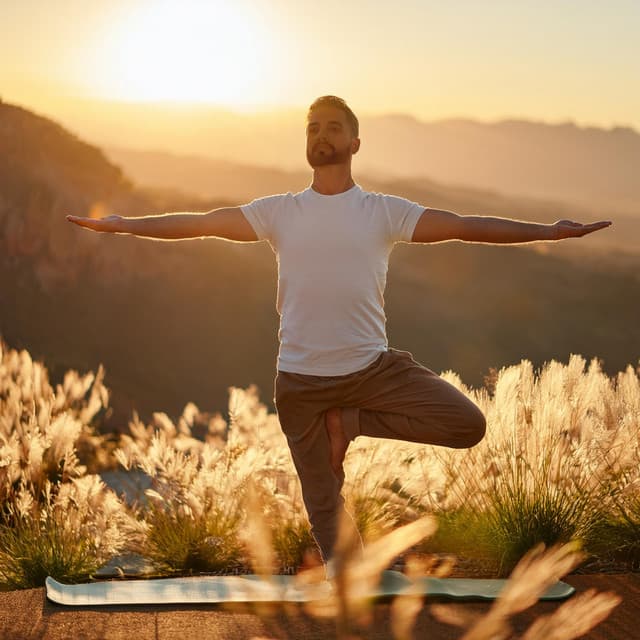 Reiki definitivo
