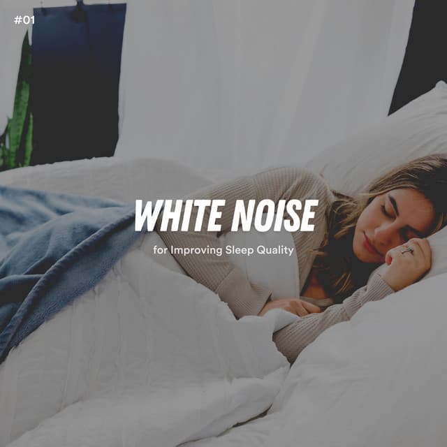 Calm Noise