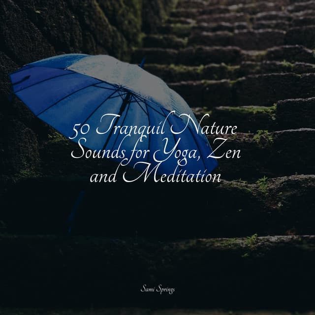 50 Tranquil Nature Sounds for Yoga, Zen and Meditation - Deep Focus