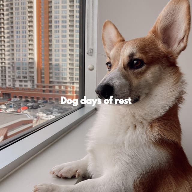 Dog days of rest - Musica Relajante para Perros Momentos