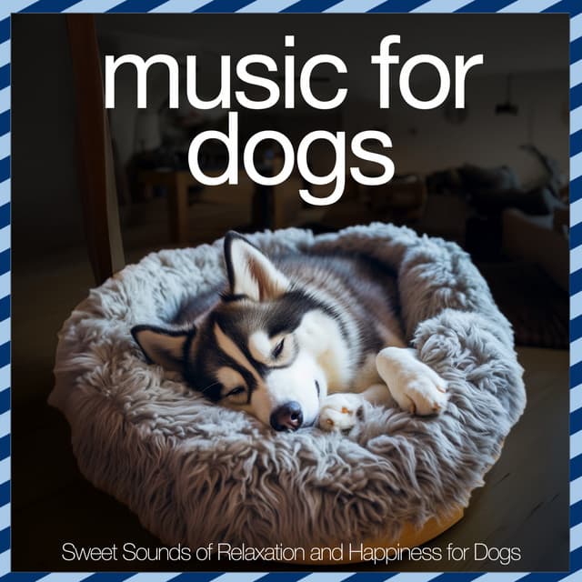Music For Dogs - Sweet Sounds of Relaxation and Happiness for Dogs - Relaxmydog