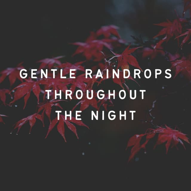 Gentle Raindrops Throughout the Night - Rain Hard