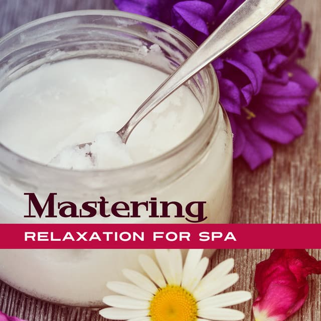Meditation Spa Music Ensemble