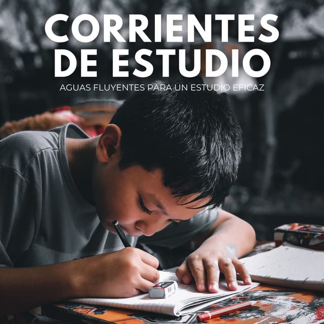 Corrientes De Estudio: Aguas Fluyentes Para Un Estudio Eficaz - Balneario de agua