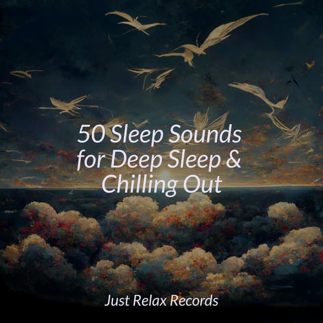 50 Sleep Sounds for Deep Sleep & Chilling Out - Deep Sleep Relaxation