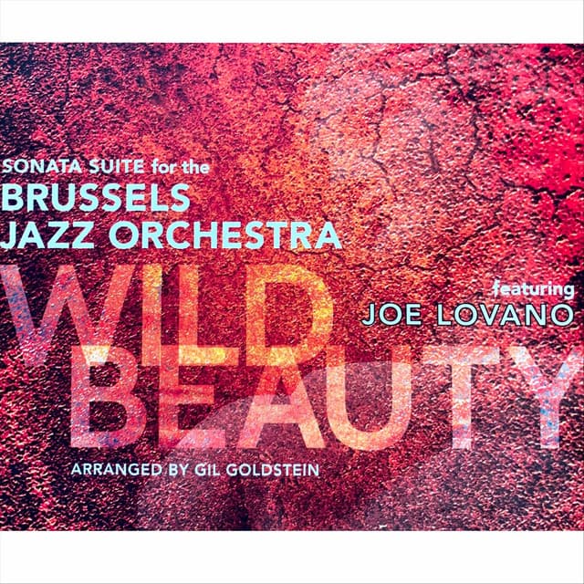 Wild Beauty - Brussels Jazz Orchestra