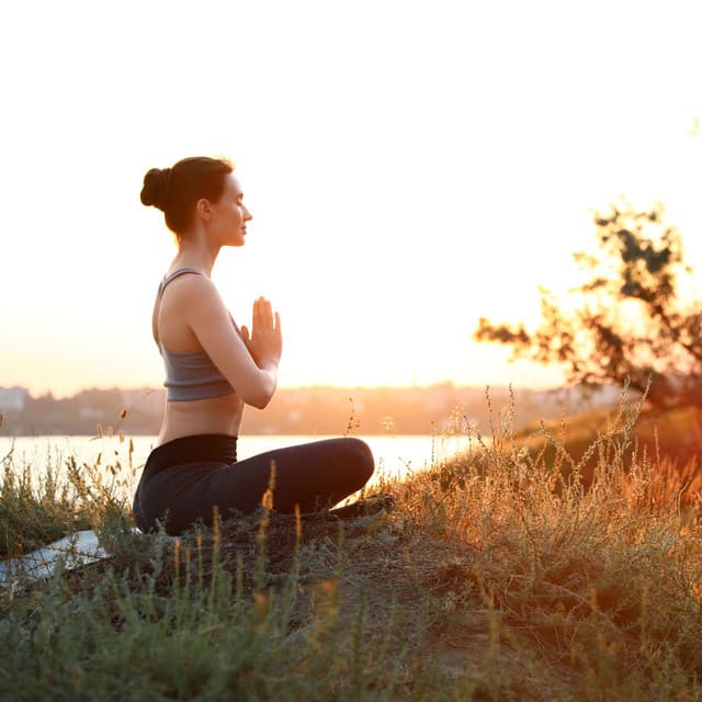 Nature Birds Zen: Riverside Meditation Journey - Swedish Forest Birds