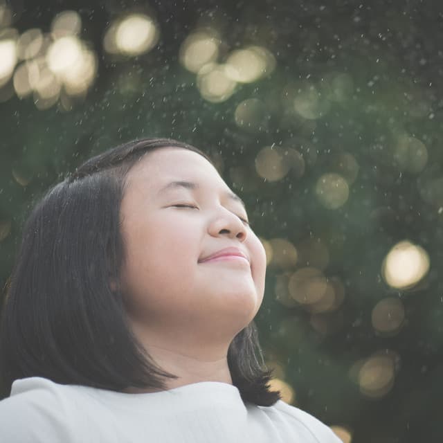 Drizzling Lullabies: Delicate Rainfall Serenity - Natural Sound Makers