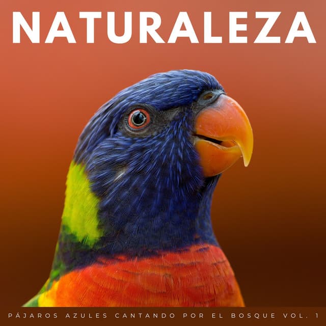 Naturaleza: Pájaros Azules Cantando Por El Bosque Vol. 1 - Sonidos De Pajaros