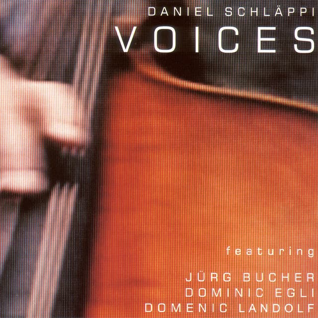 Voices - Daniel Schläppi