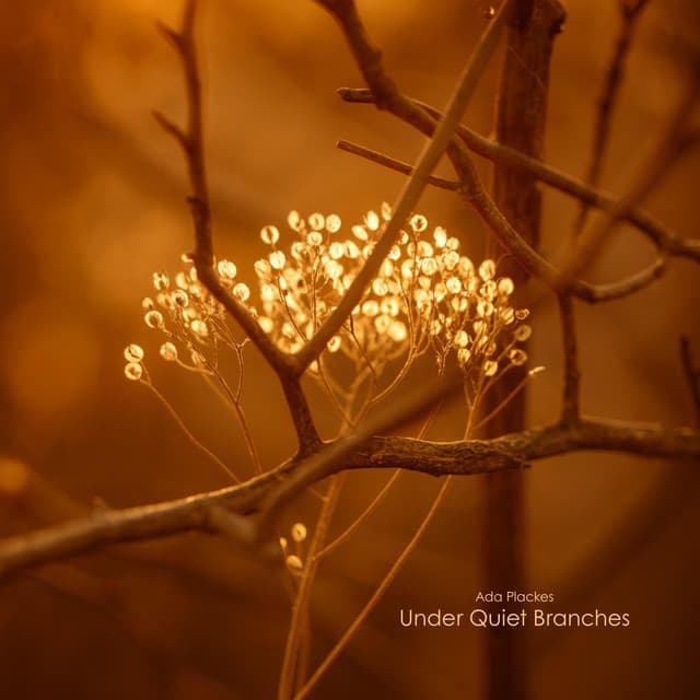 Under Quiet Branches - Ada Plackes