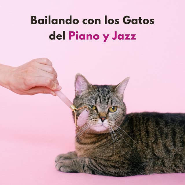 Bailando Con Los Gatos Del Piano Y Jazz - PianoPinceOfAnime