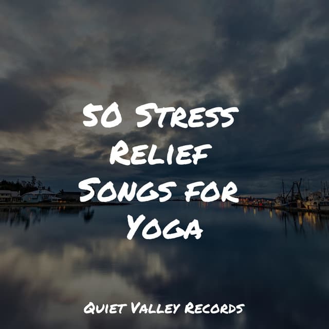 50 Stress Relief Songs for Yoga - Rain Sound Plus