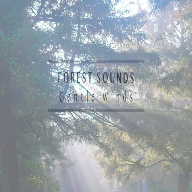 Gentle Winds - Forest Sounds