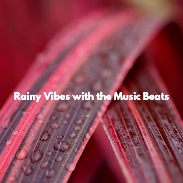 Rainy Vibes with the Music Beats - Cafe Jazz Coffee House