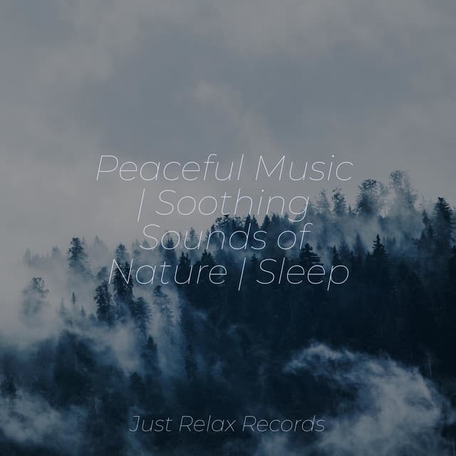 Peaceful Music | Soothing Sounds of Nature | Sleep - Pro Sound Effects Library