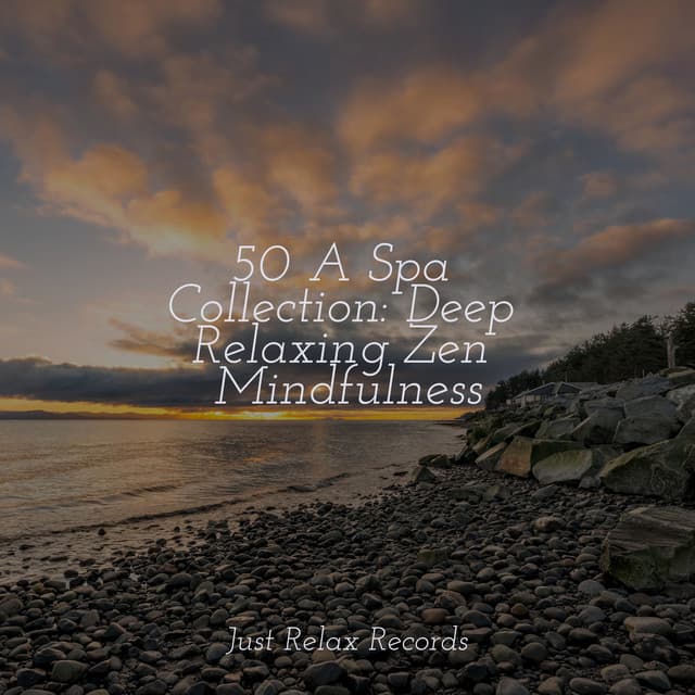 50 A Spa Collection: Deep Relaxing Zen Mindfulness - Meditation Awareness