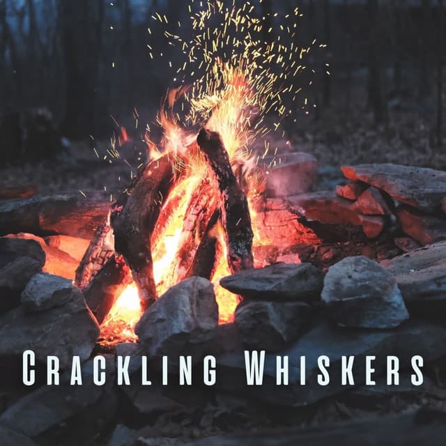 Crackling Whiskers: Cat's Contentment with Serene Bonfire ASMR - 101 Nature