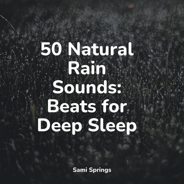 50 Relaxing Rain Sounds for Spa & Meditation - Meditation