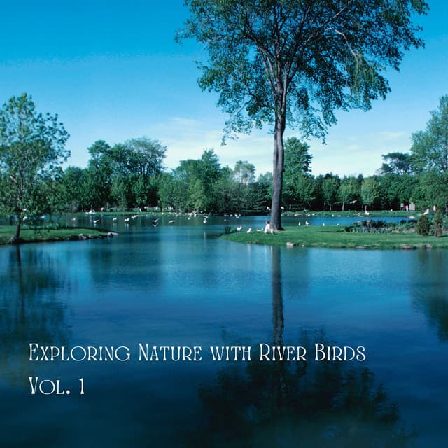 Exploring Nature with River Birds Vol. 1 - Sounds of Nature Noise