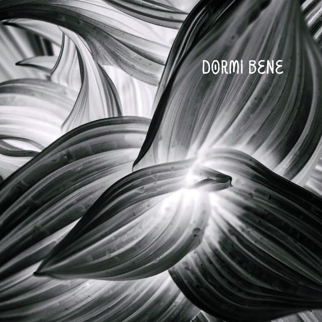 Dormi bene - Musica rilassante per aiutarti a dormire e sbarazzarti delle notti insonni - Calmo Maestro del Sogno