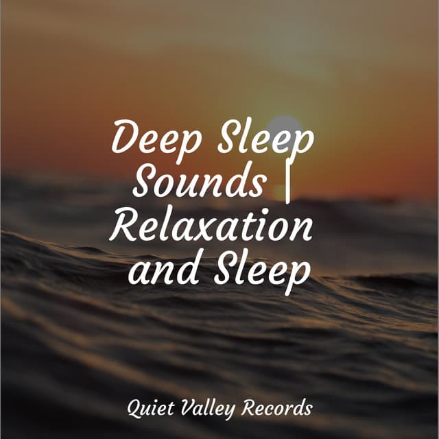 Deep Sleep Sounds | Relaxation and Sleep - Natureza Musica Bem-Estar Academia