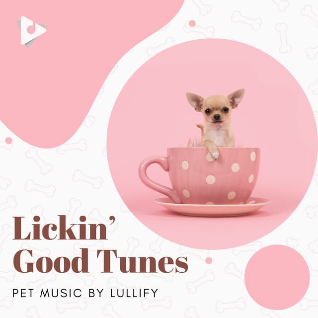 Lickin’ Good Tunes - Pet Music by Lullify