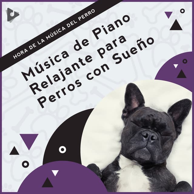 Música de Piano Relajante para Perros con Sueño - Hora de la Música del Perro
