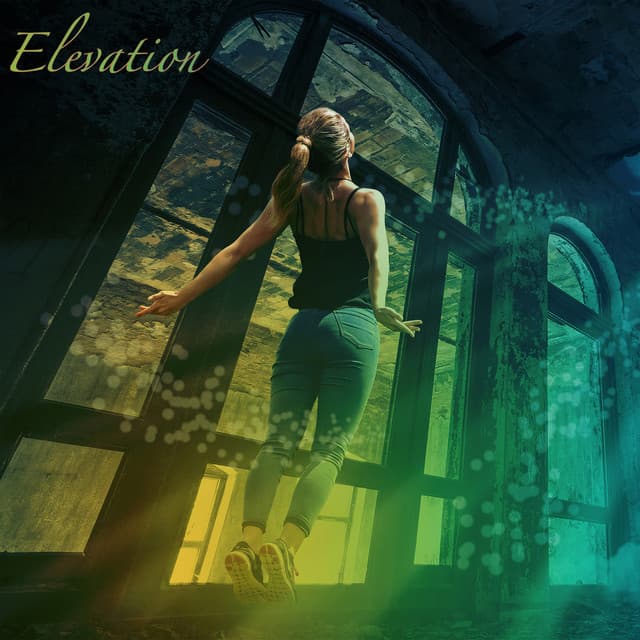Elevation - New Years Party