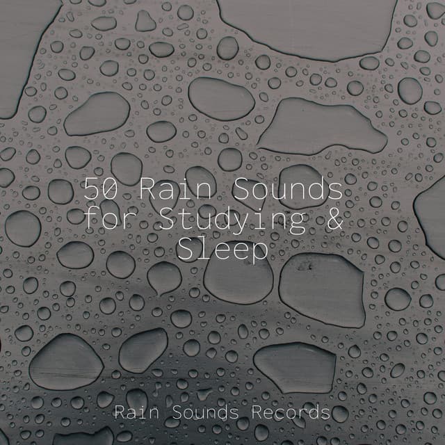 50 Rain Sounds for Studying & Sleep - Rain Sounds & White Noise