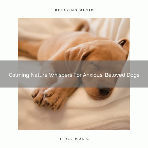 Calming Nature Whispers For Anxious, Beloved Dogs - Dog Total Relax