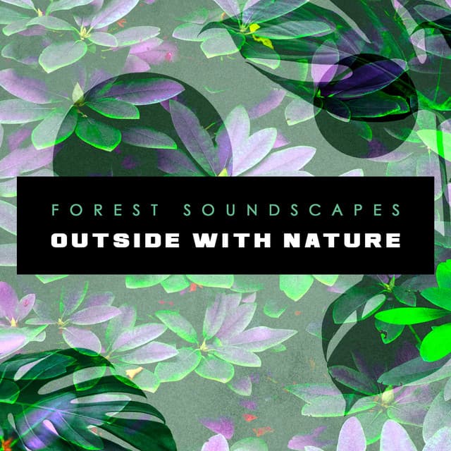 Outside with Nature - Forest Soundscapes