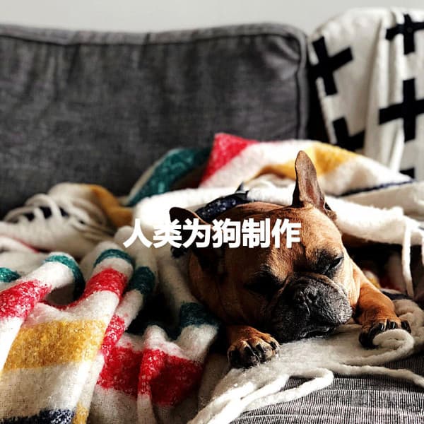 人类为狗制作 - Happy Morning Music