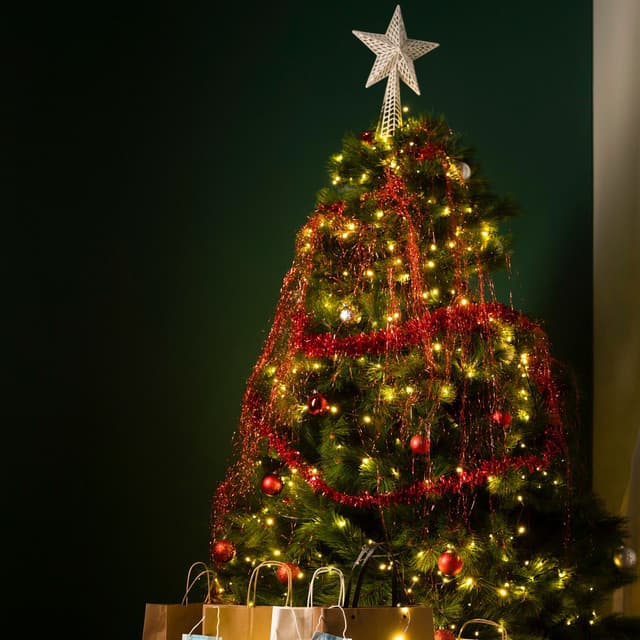 Family Christmas Time & Magic Holidays - Christmas Carols