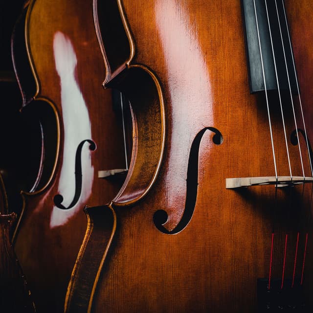 Tranquil Night Orchestra: Music for Peaceful Dreams - Charles Anderson