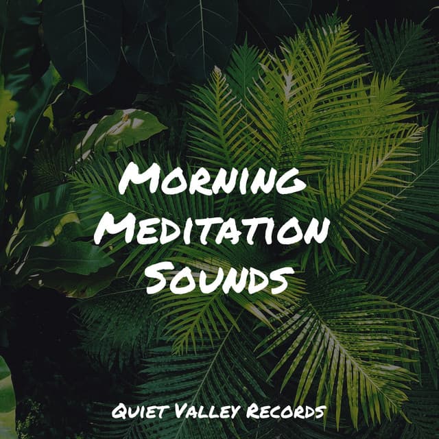 Morning Meditation Sounds - Brown Noise