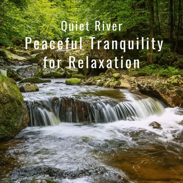 Quiet River: Peaceful Tranquility for Relaxation - Riverfall Science